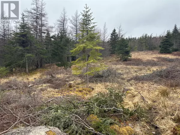 Holyrood, NL A0A2R0,11 North Side Road