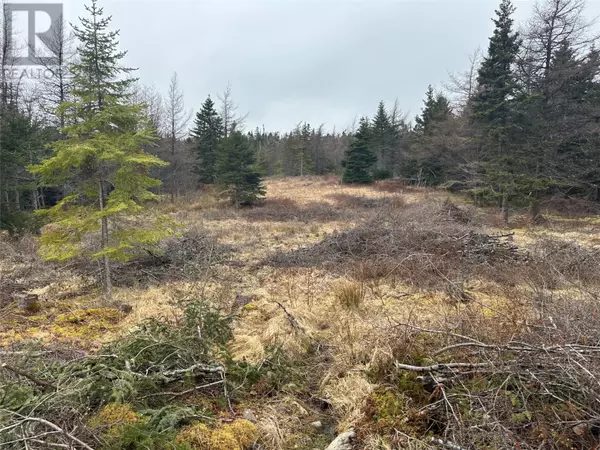 11 North Side Road, Holyrood, NL A0A2R0
