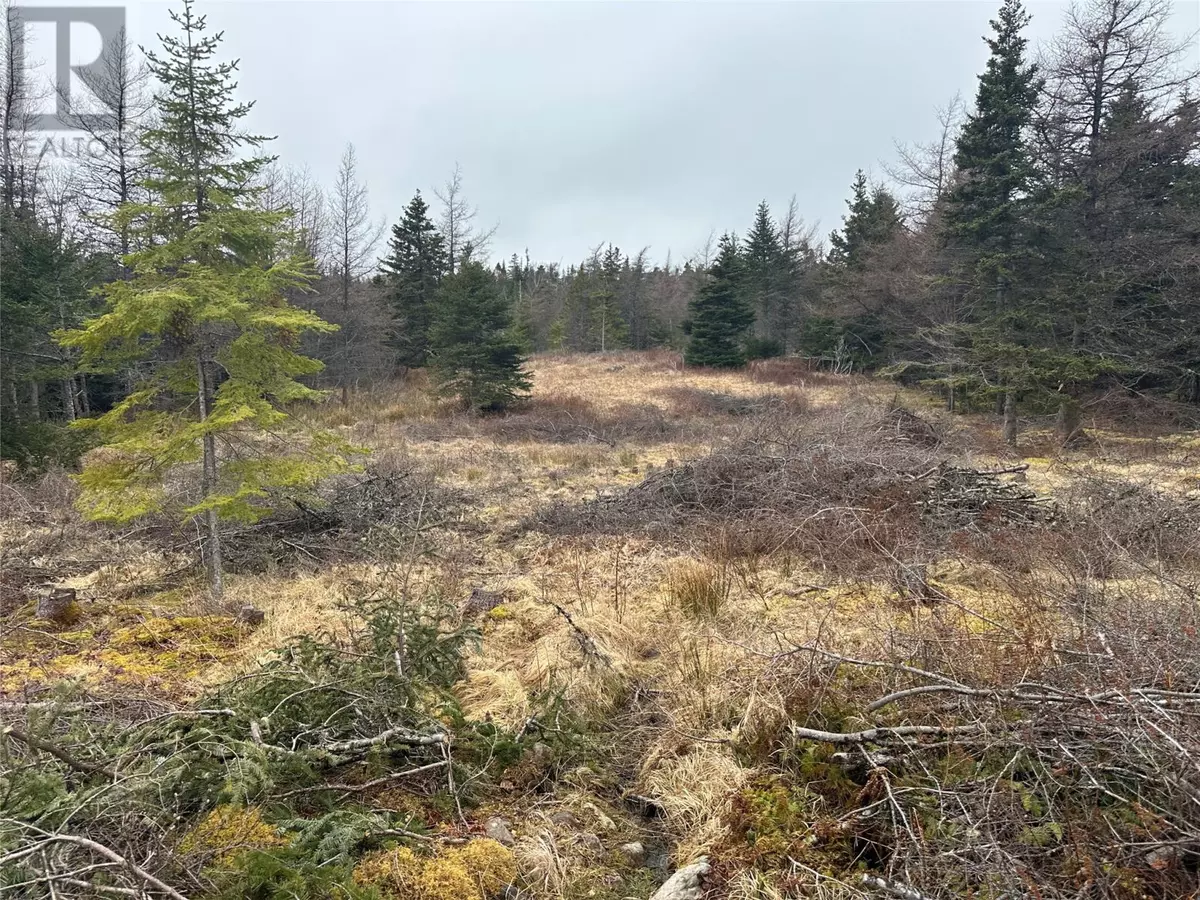 Holyrood, NL A0A2R0,11 North Side Road