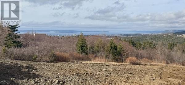 Conception Bay South, NL A1X7E6,385 Foxtrap Access Road