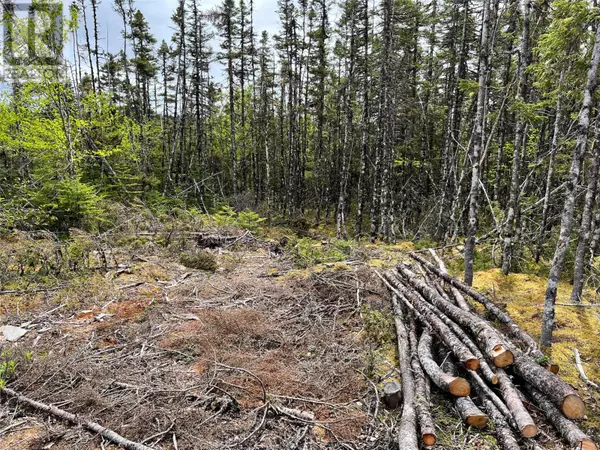 Shearstown, NL A0A3V0,Lot 22 Second Pond