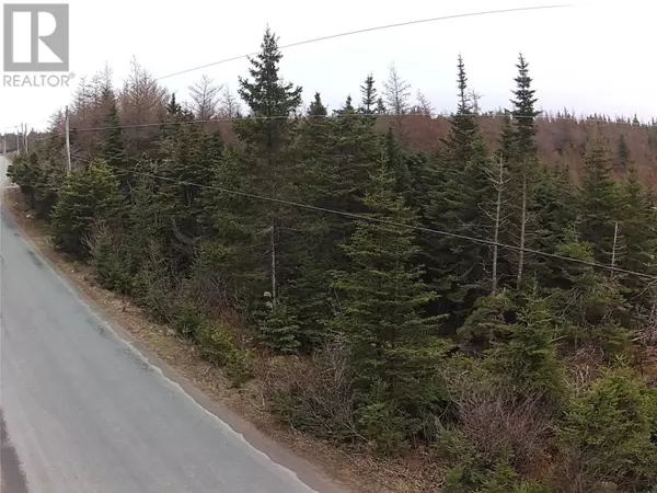 Holyrood, NL A0A2R0,56 Ridge Road