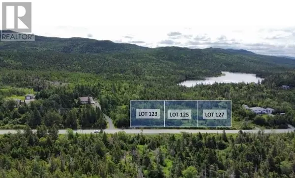 121 Salmonier Line, Holyrood, NL A0A2K0