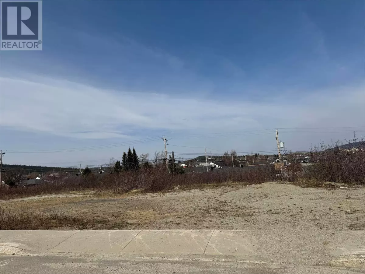 Labrador City, NL A2V0B5,138 Raven Avenue
