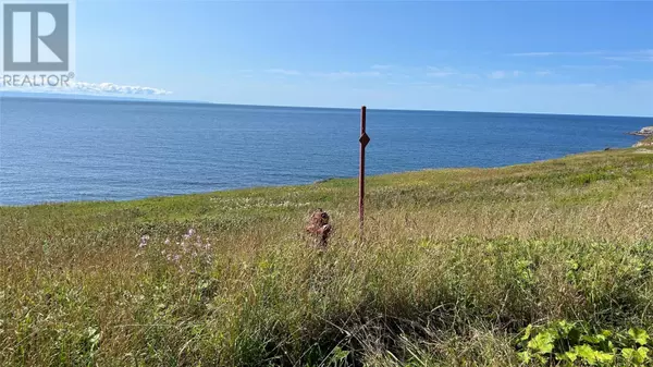 Cape St George, NL A0N1T0,0 Oceanview Drive