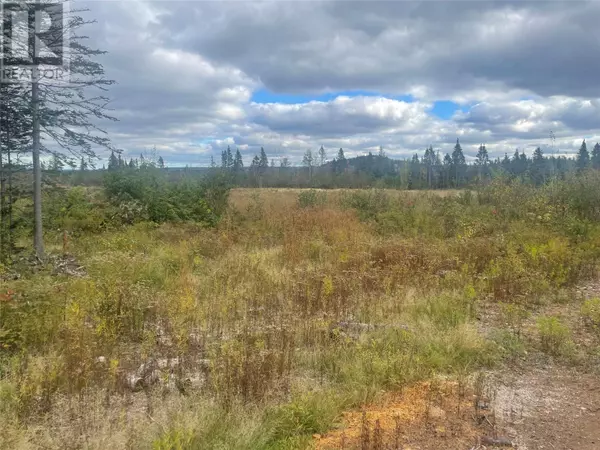 136333 Peter's Pond, Botwood, NL A0H1E0
