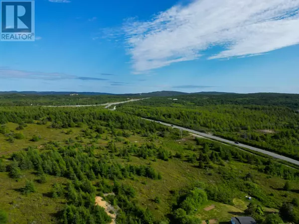 Conception Bay North, NL A0A1G0,0 Picketts Road