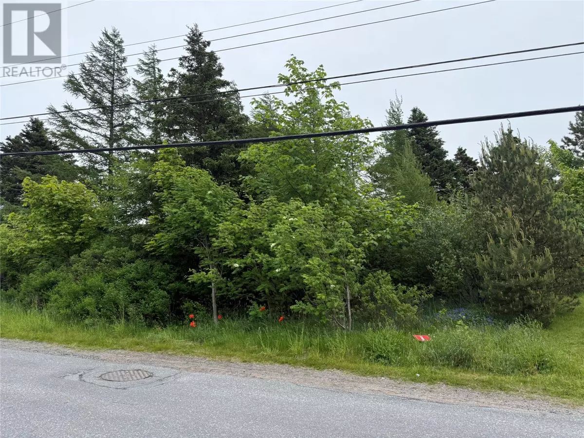 Upper Island Cove, NL A0A4E0,49 Back Road