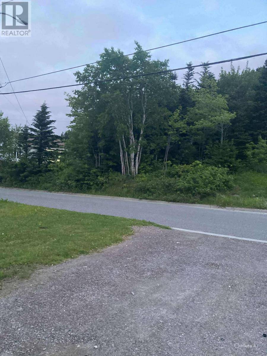 119 Bayview Heights, Corner Brook, NL A2H5W7