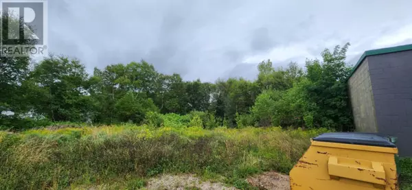 Pasadena, NL A0L1K0,20 Tenth Avenue