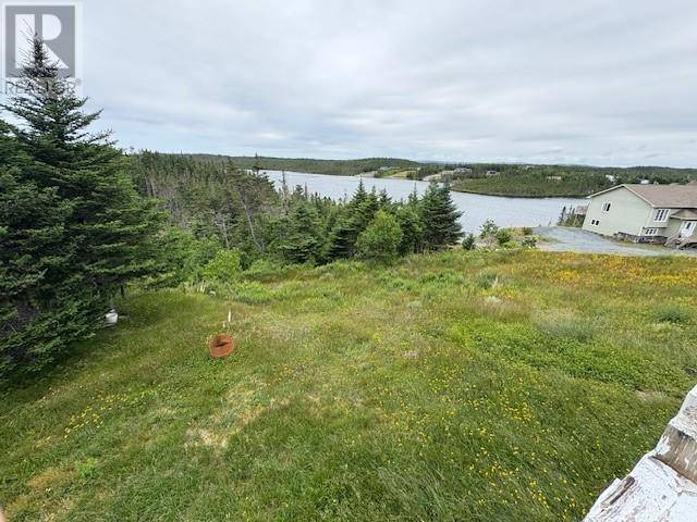 Salmonier, NL A0A2R0,246 Vineland Road