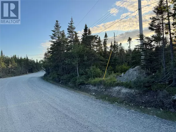 69 Whalens Pond Road, Brigus Junction, NL A0B1G0
