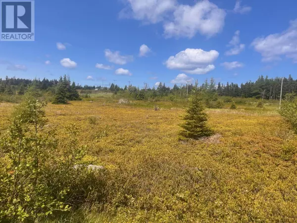 125-147 Main Road, Blackhead, NL A0A1L0