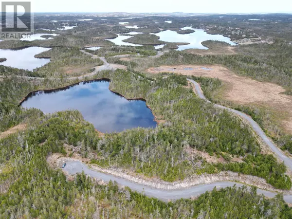 Lot #210 Fifth Island Pond, Deer Park, NL