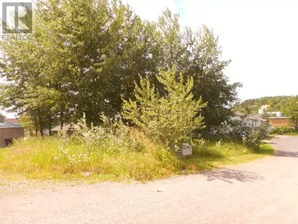 Springdale, NL A0J1T0,2-A Larch Street