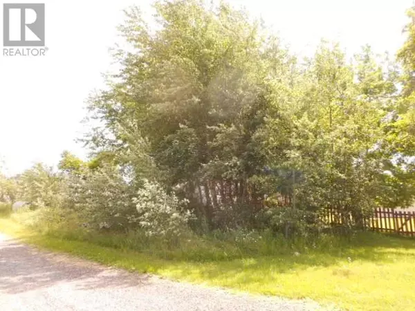 Springdale, NL A0J1T0,2-A Larch Street