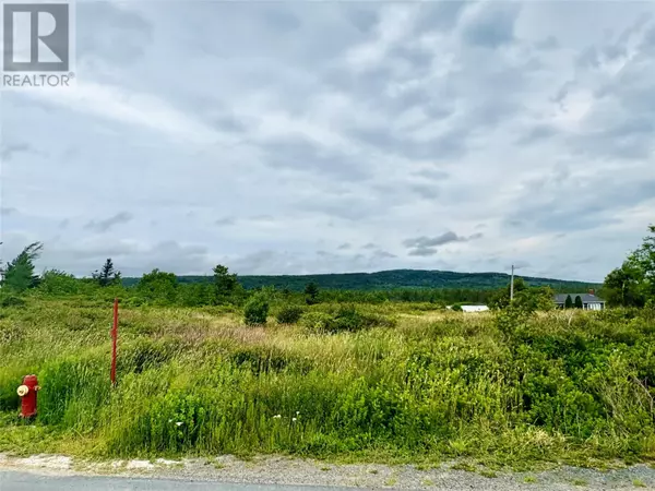 Spaniard's Bay, NL A0A3X0,42-52 Battery Road