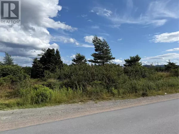 Bay Roberts, NL A0A1G0,14 Neck Road