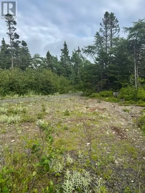 19 Island Pond Road, Spread Eagle, NL A0B2W0