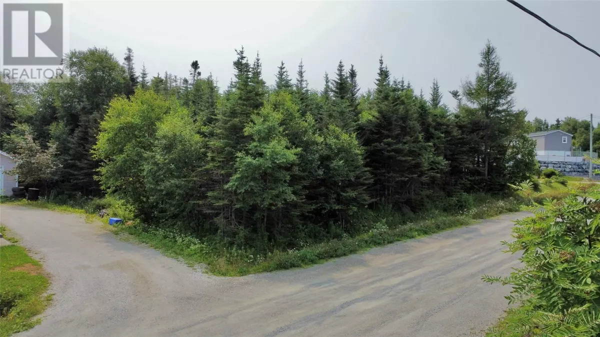 Rocky Harbour, NL A0K4N0,7 Bottom Brook Heights