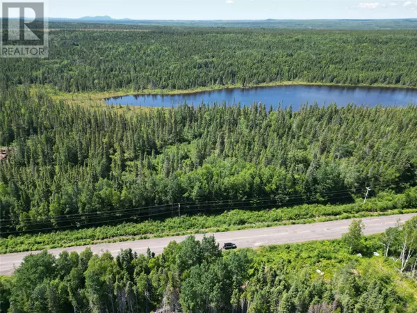 162251 New Bay Road, Grand Falls Windsor, NL A2A2J2