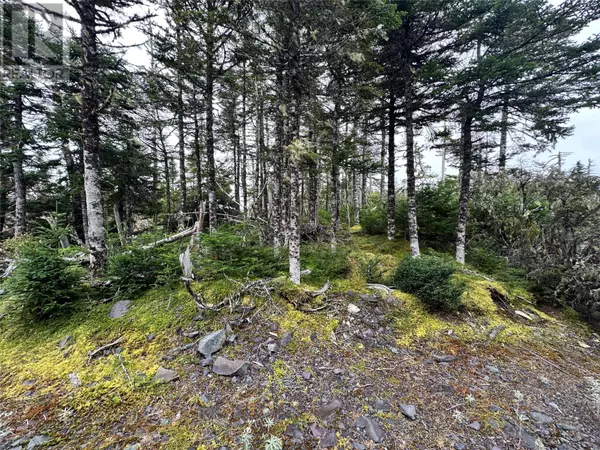 Brigus Junction, NL A0B1G0,65B Connors Cove Road
