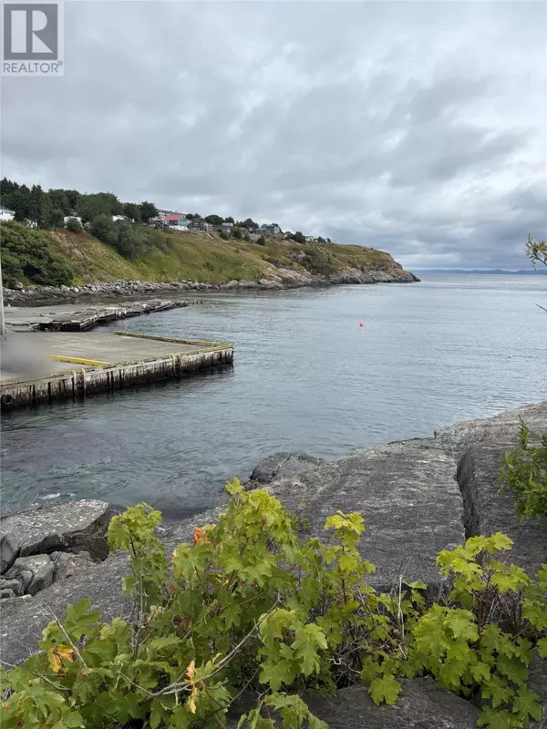 7 Big Lane, Upper Island Cove, NL A0A4E0