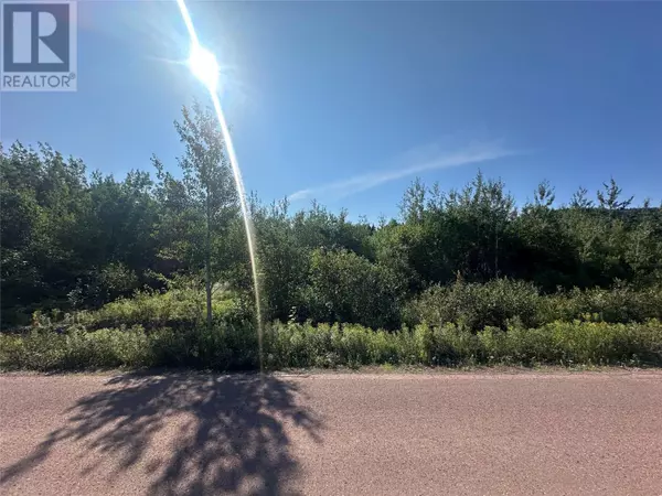 Point Leamington, NL A0H1Z0,11 Park Drive