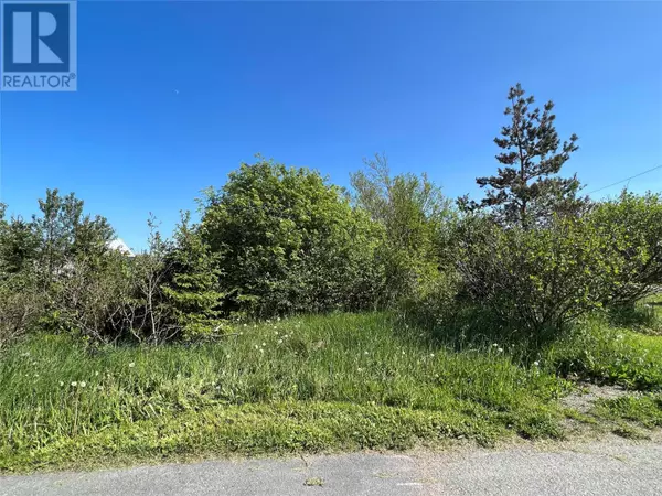222 Neck Road, Bay Roberts, NL A0A1G0