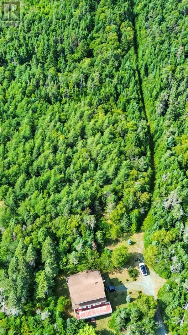 Torbay, NL A1K1G5,582-594 Indian Meal Line