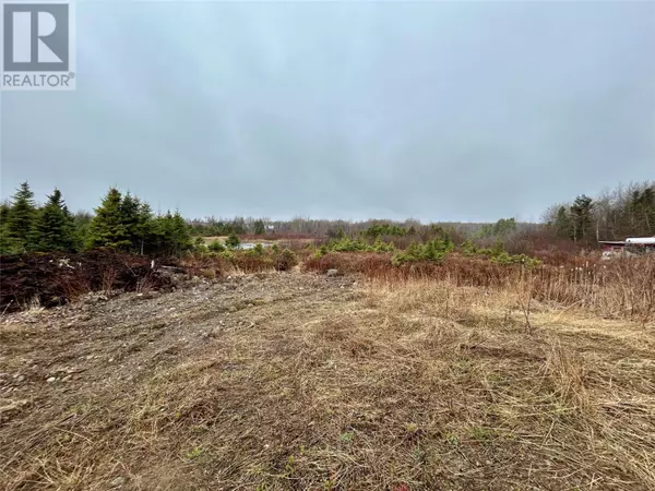 10 Kingston Road, Grand Falls-windsor, NL A2B1E3