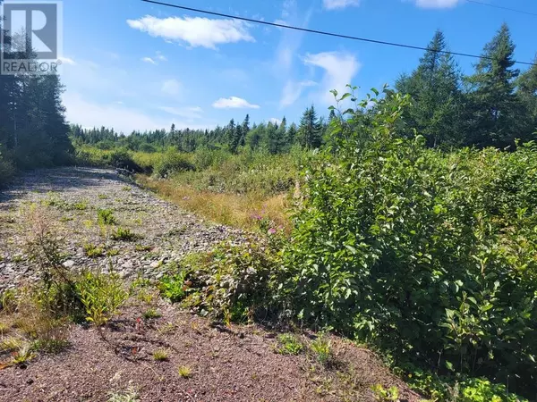 45 Main Street, Northern Arm, NL A0H1E0