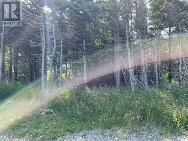 Stephenville Crossing, NL A0N2C0,13 Queen Street