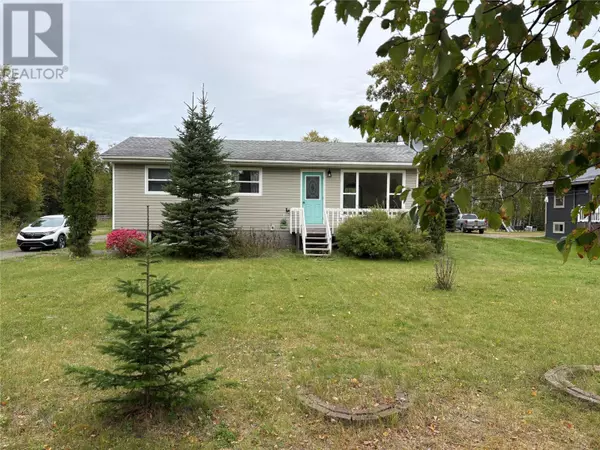 20 Trail Avenue, Brown's Arm, NL A0G3A0