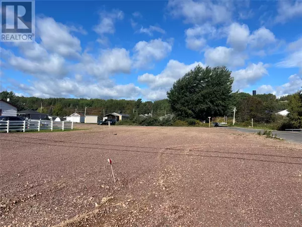 Bishop's Falls, NL A0H1C0,4A & 5 Cannings Lane