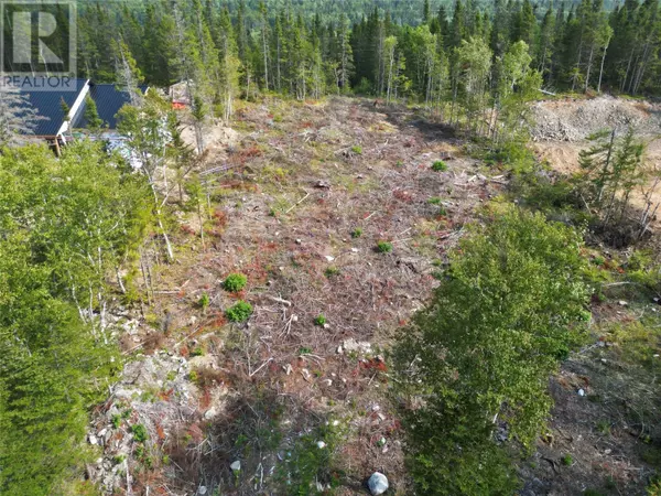 Taylor Estates, NL A0K1K0,Lot 37 International Drive