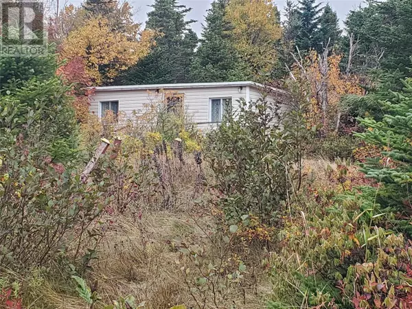 Holyrood, NL A0A2R0,W113 Old Witless Bay Line