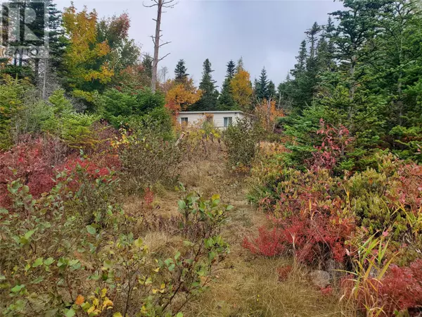 Holyrood, NL A0A2R0,W113 Old Witless Bay Line