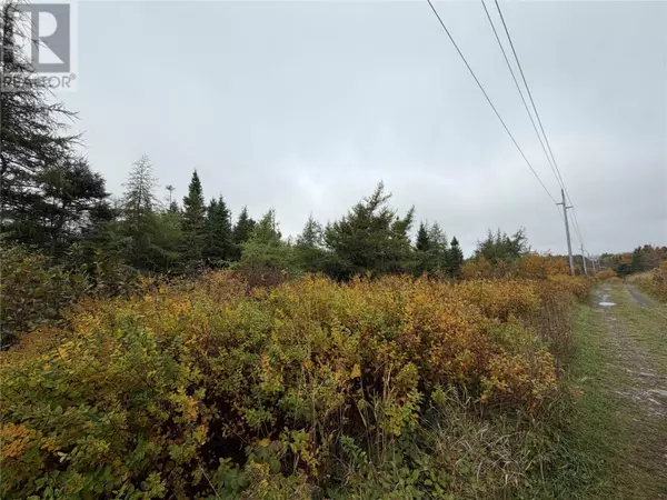 St. John's, NL A1S1A1,0 Tobins Road