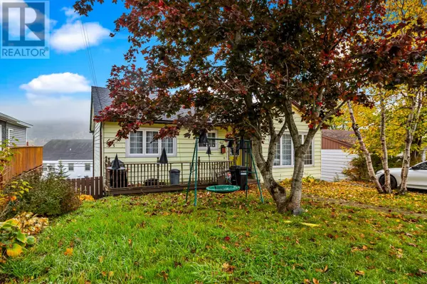 St. John's, NL A1E1Z1,111 Cornwall Avenue