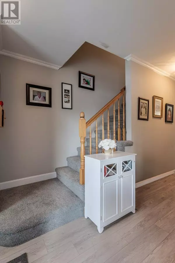 St. John's, NL A1G1A6,75 Bay Bulls Road