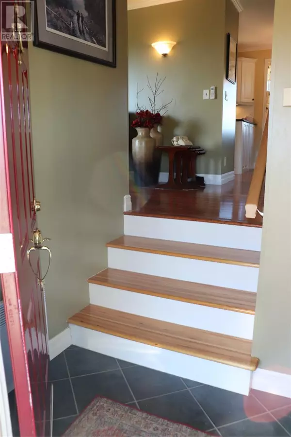 Stephenville, NL A2N1Z2,3 Spring Mountain Road