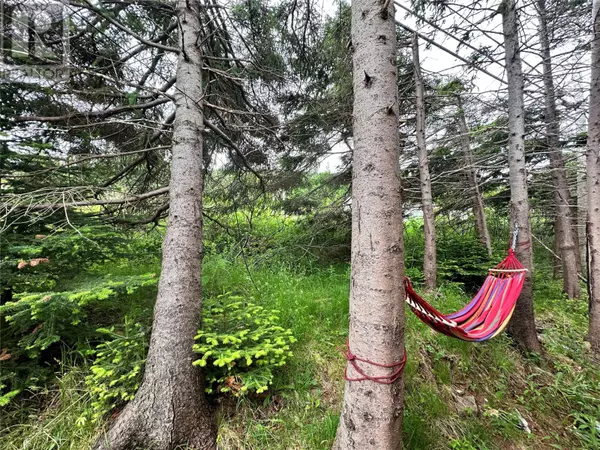 Marystown, NL A0E2M0,15 Dunford Place