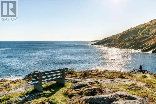 Petty Harbour, NL A0A3H0,111 Main Road