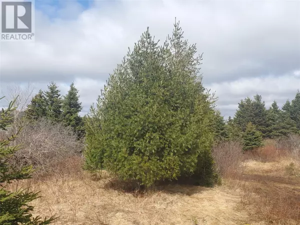 Marystown, NL A0E2M0,96 Marine Drive