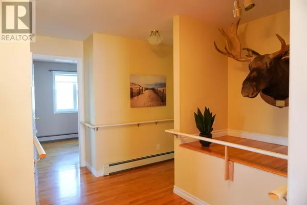 Conception Bay South, NL A1W4B8,54 BLACKSTRAP Path