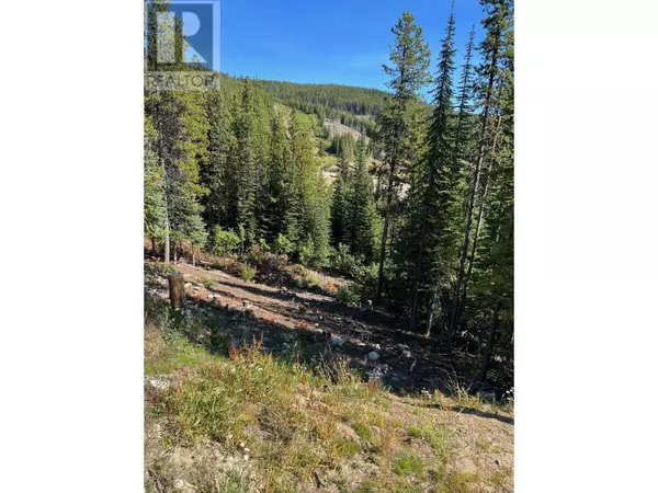 Oliver, BC V0H1T8,Lot 122 WAPITI CREEK Road