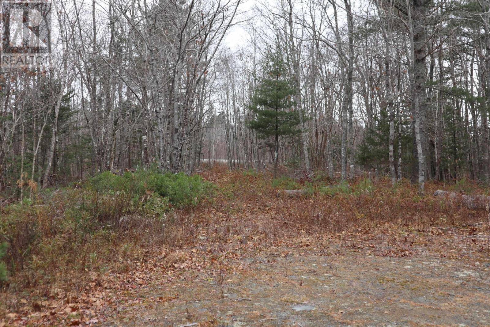 White Point, NS B0T1K0,Lot 15 Old Port Mouton Road
