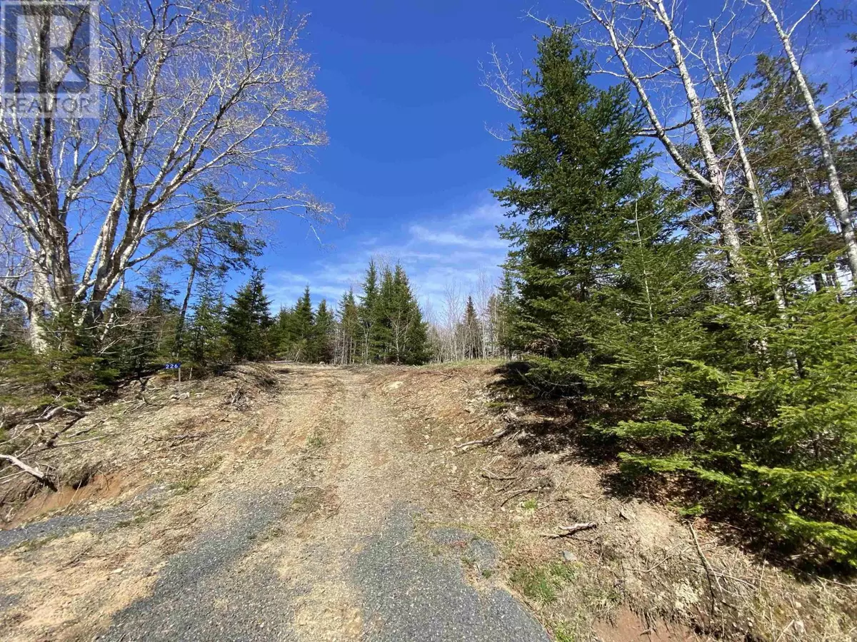 Bridgeville, NS B2H5C7,Lot 22-3 226 Brookville Branch Road