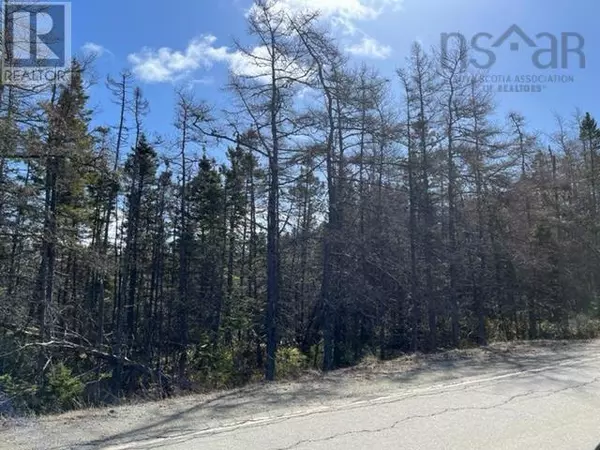 Martinique, NS B0E1K0,Highway 206